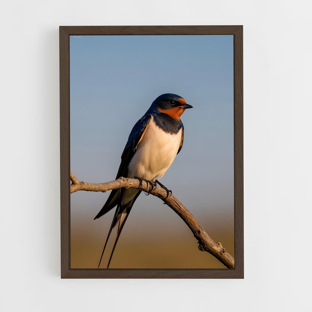 ap-swallow-4 cadre Bois foncé