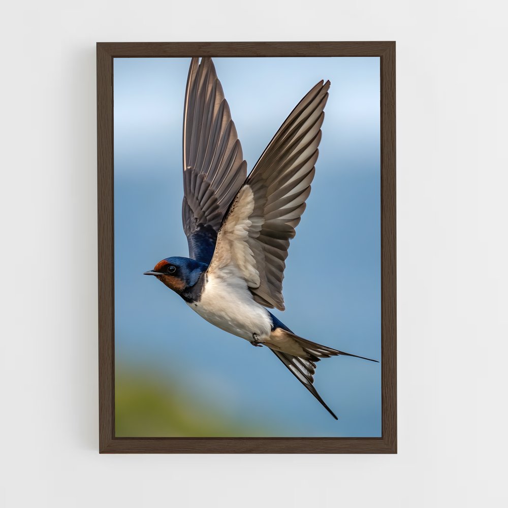 ap-swallow-5 cadre Bois foncé