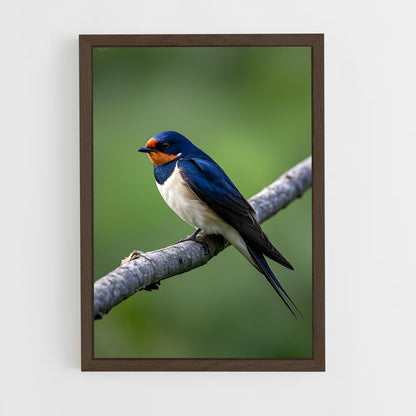 ap-swallow-9 cadre Bois foncé