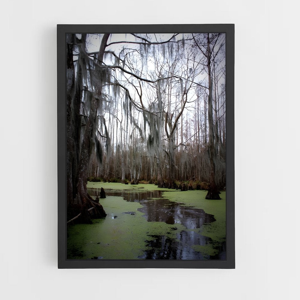 ap-swamp-1 cadre Noir