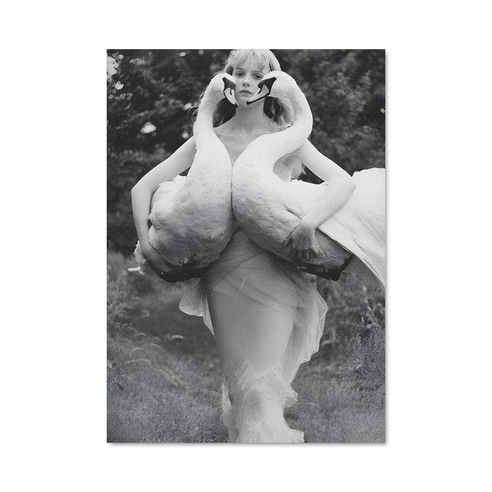 Poster Danse avec les Cygnes