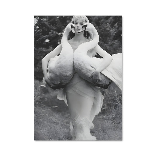 Poster Danse avec les Cygnes