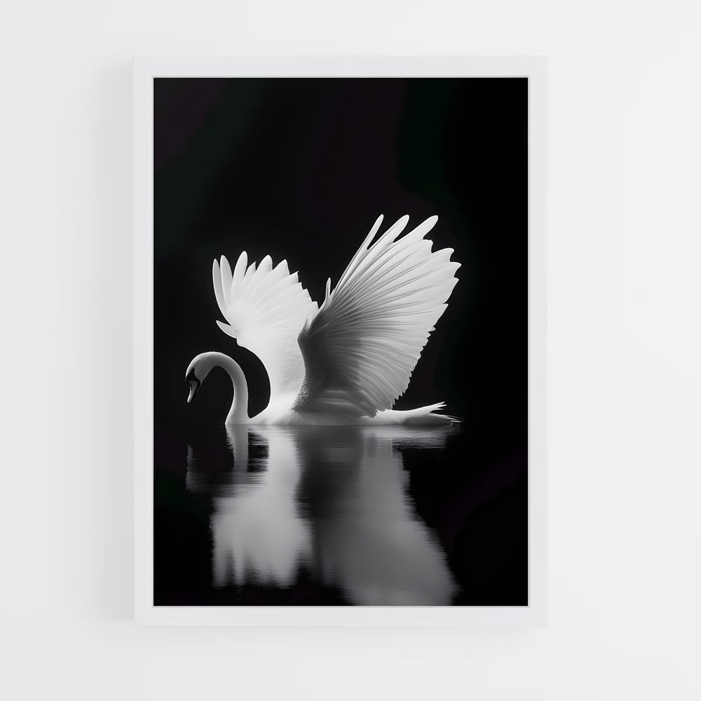 ap-swan-6 cadre Blanc