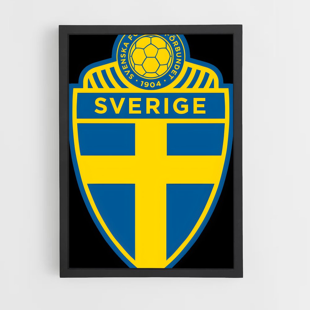 ap-sweden national football team-3 cadre Noir