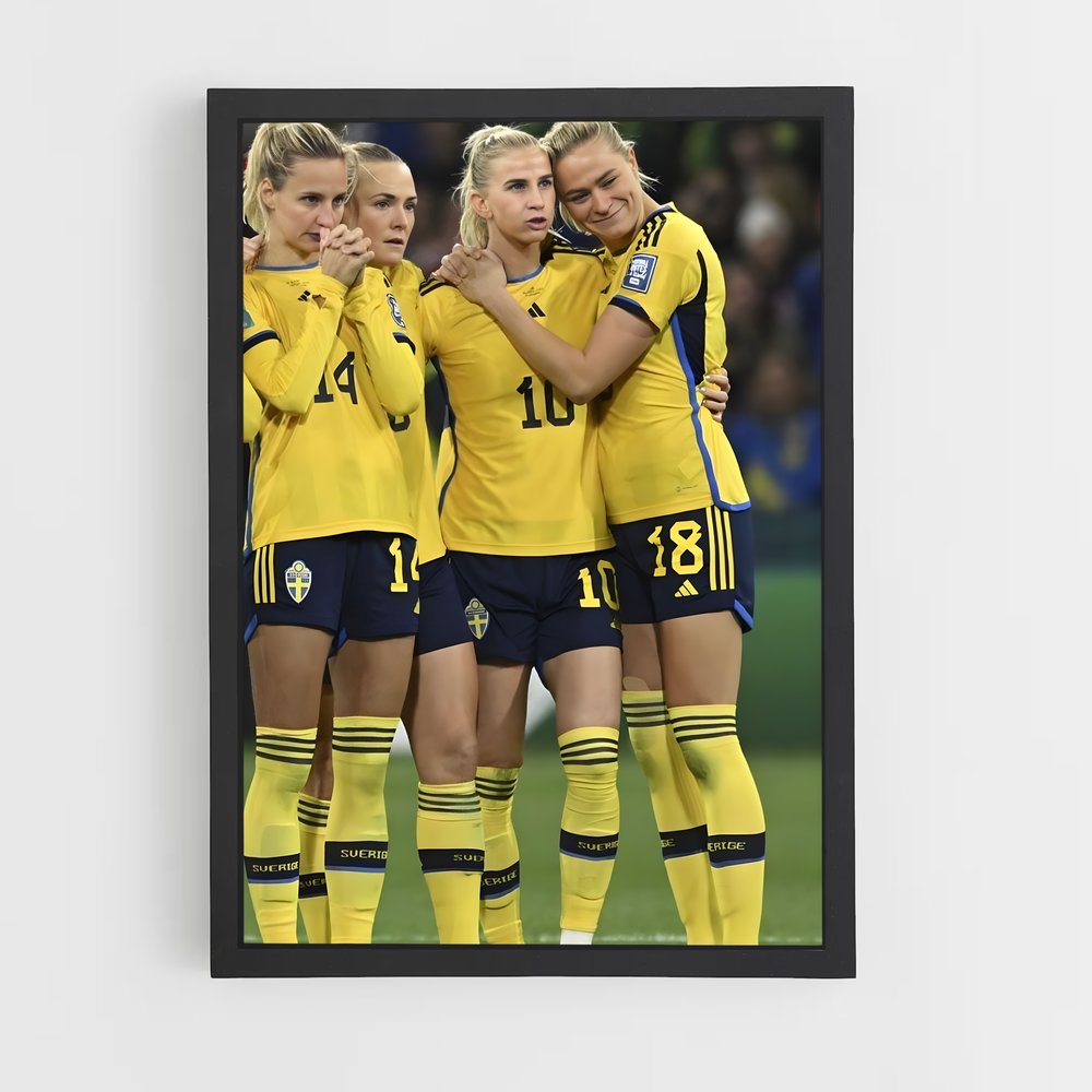 ap-sweden national football team-7 cadre Noir