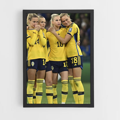 ap-sweden national football team-7 cadre Noir
