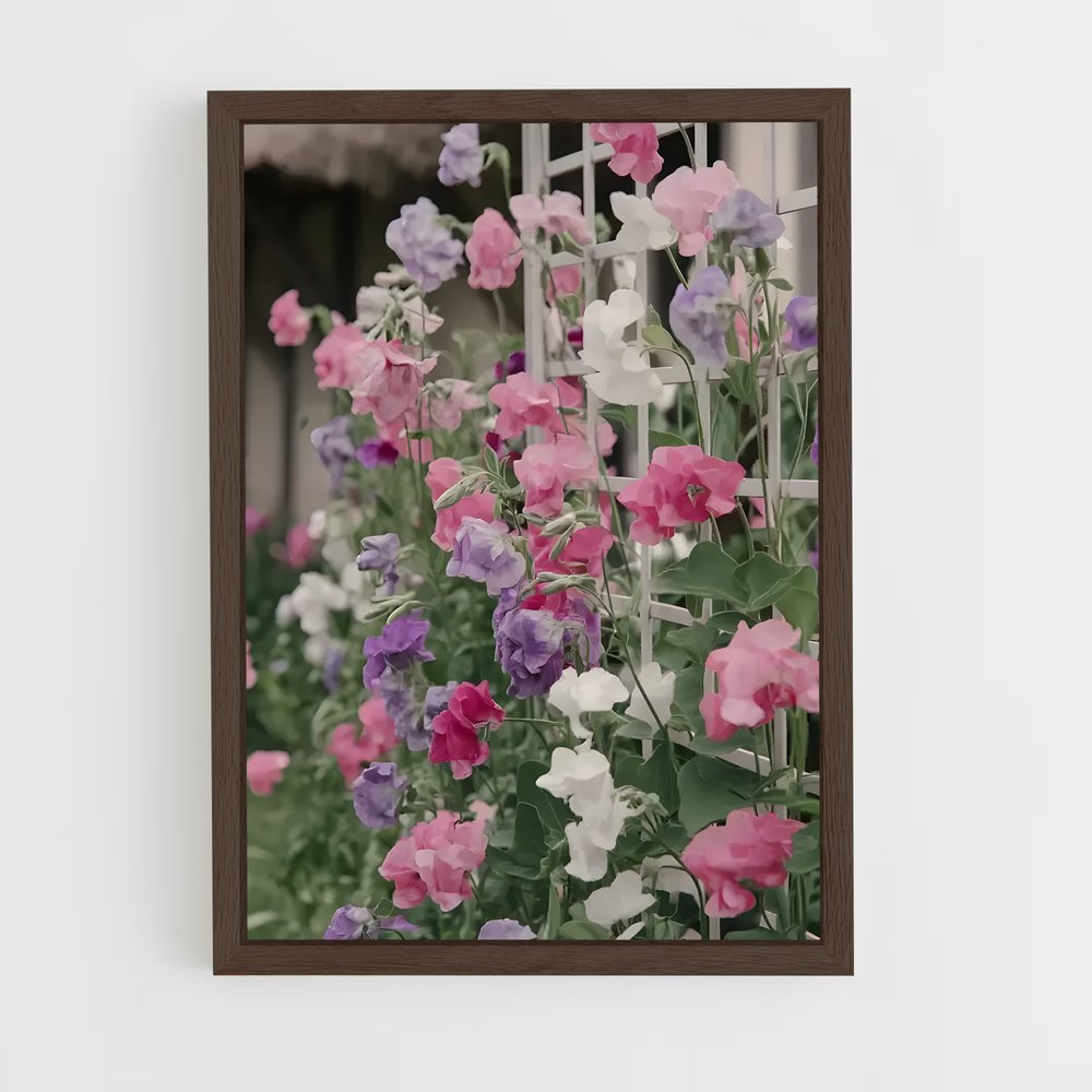 ap-sweet pea-1 cadre Bois foncé