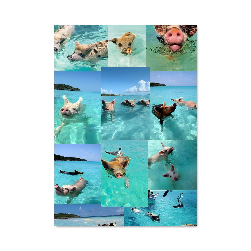 Poster Plage des Cochons Nageurs