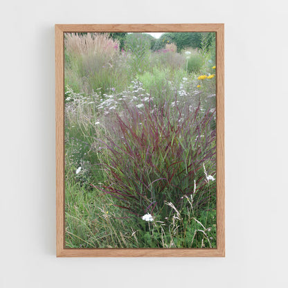 ap-switchgrass-2 cadre Bois clair