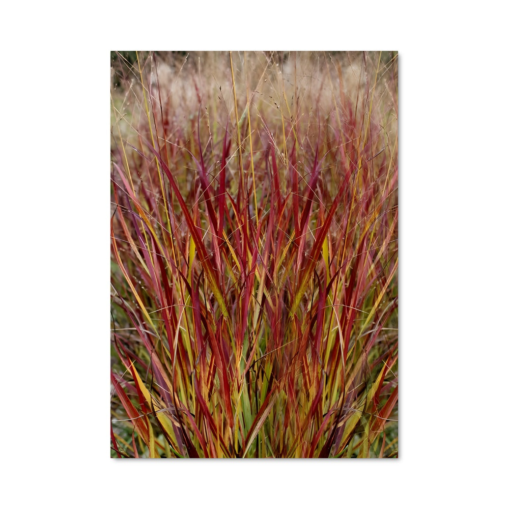 Poster Feuillage Éclatant