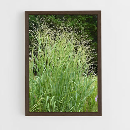 ap-switchgrass-4 cadre Bois foncé