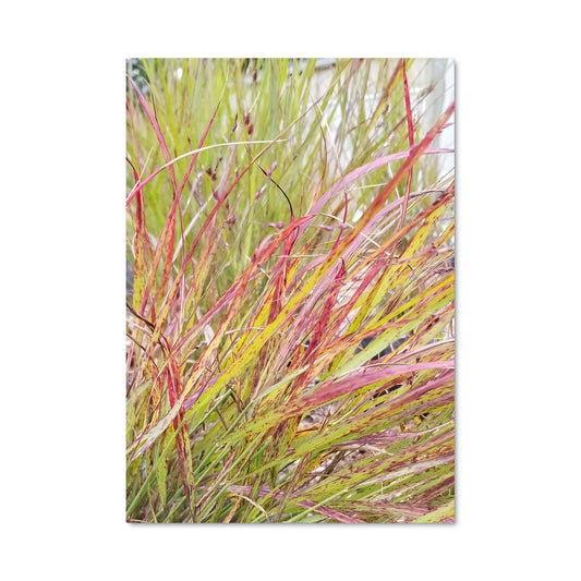 Poster Feuilles de Rubis