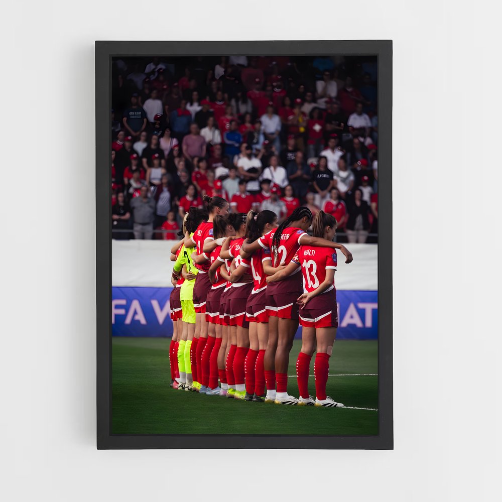 ap-switzerland national football team-1 cadre Noir