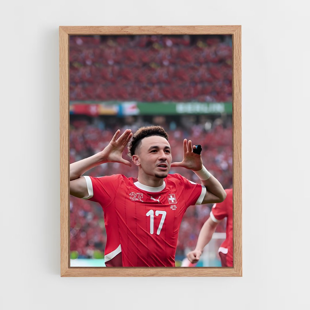 ap-switzerland national football team-7 cadre Bois clair