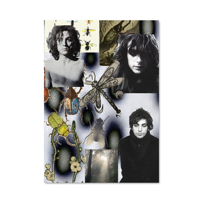 Poster Les Visages de Syd