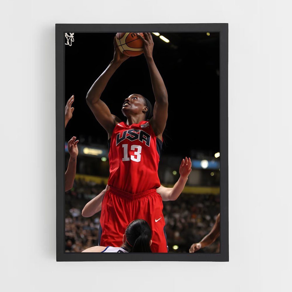 ap-sylvia fowles-3 cadre Noir