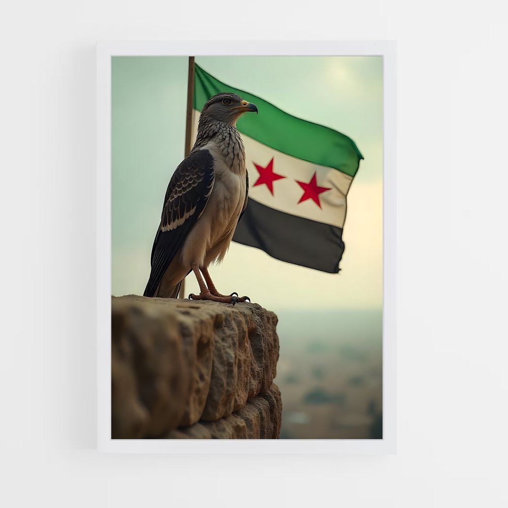 ap-syria flag-5 cadre Blanc
