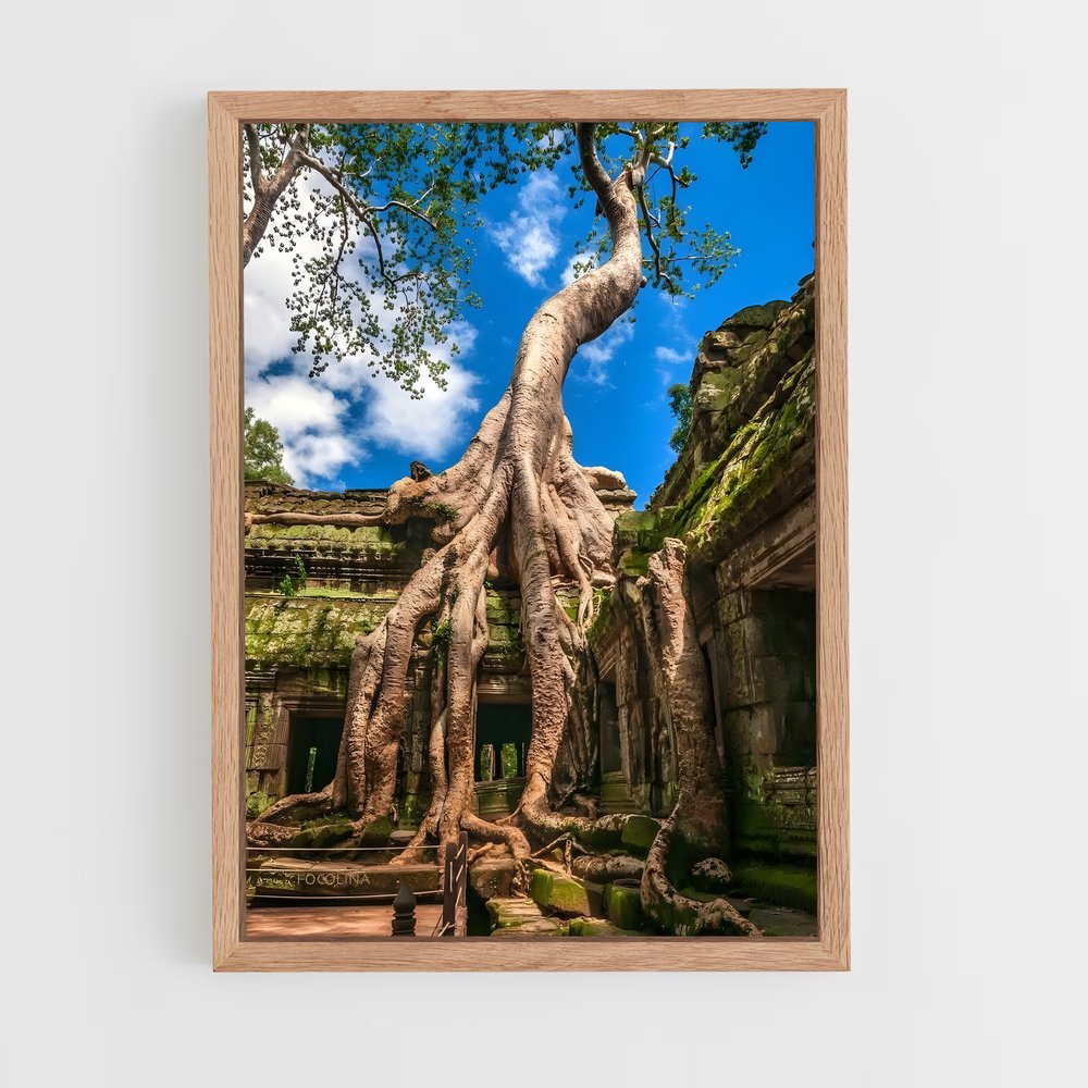 ap-ta prohm-1 cadre Bois clair