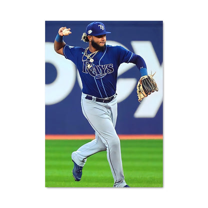 Poster Tampa bay rays 58635