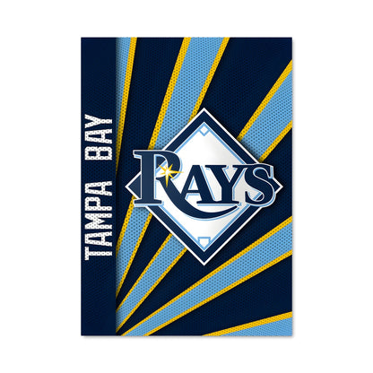 Poster Tampa bay rays 58644