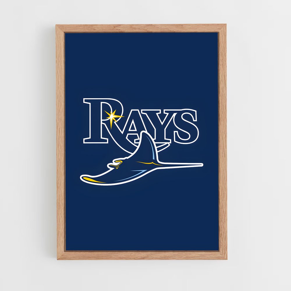 ap-tampa bay rays-1 cadre Bois clair
