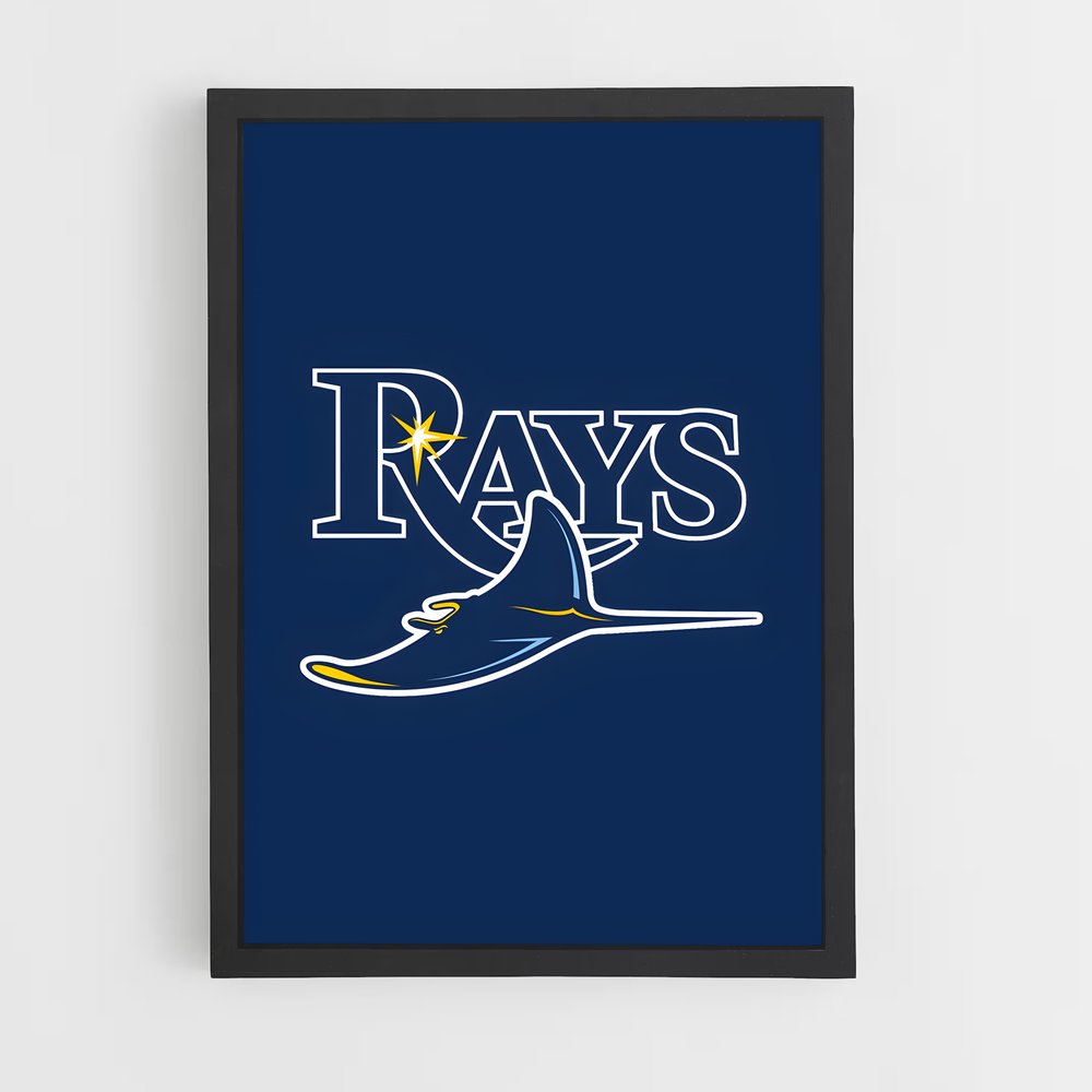 ap-tampa bay rays-1 cadre Noir