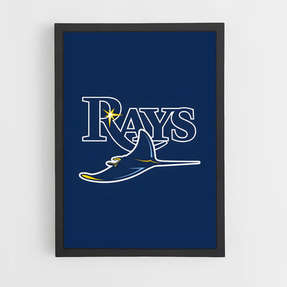 ap-tampa bay rays-1 cadre Noir