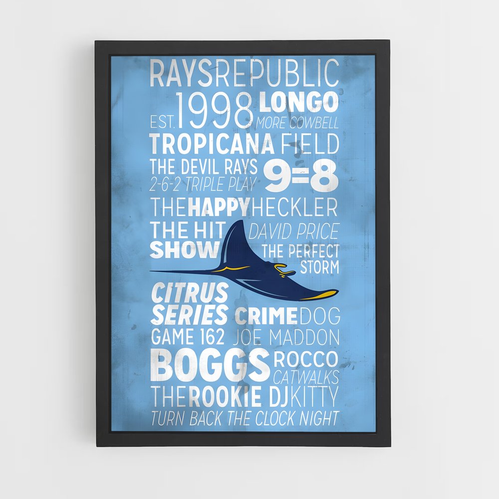 ap-tampa bay rays-2 cadre Noir