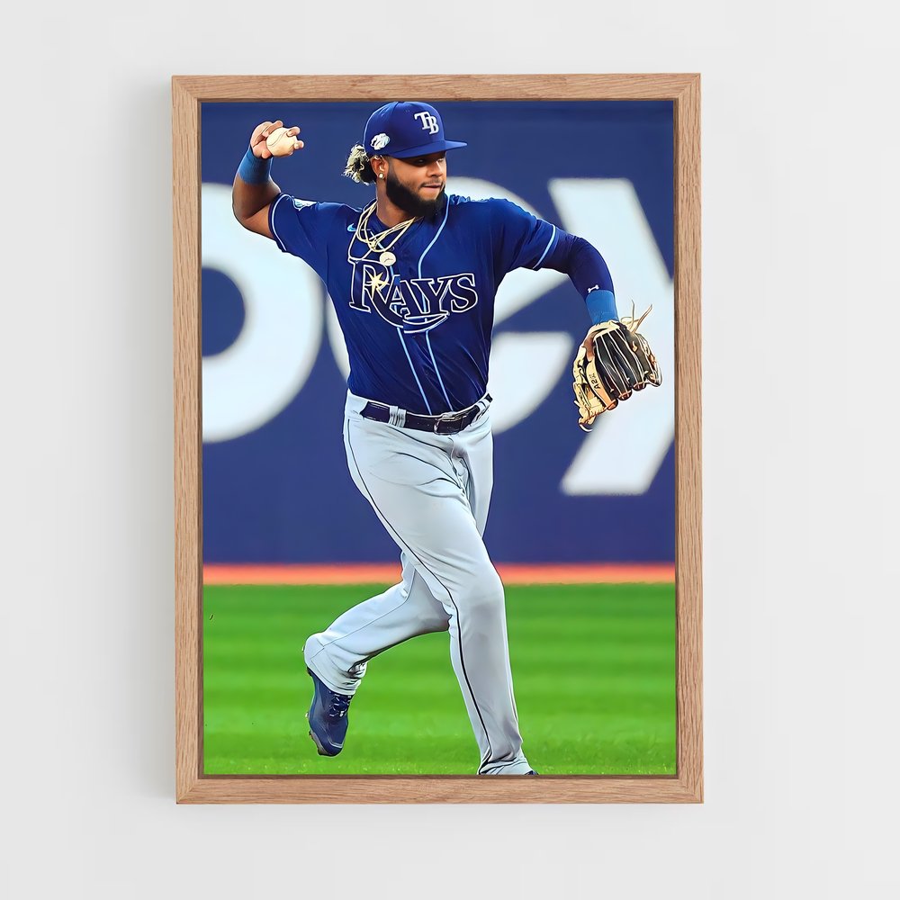 ap-tampa bay rays-5 cadre Bois clair