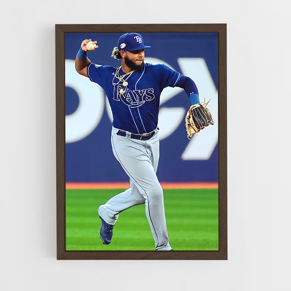 ap-tampa bay rays-5 cadre Bois foncé