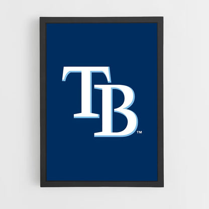 ap-tampa bay rays-6 cadre Noir