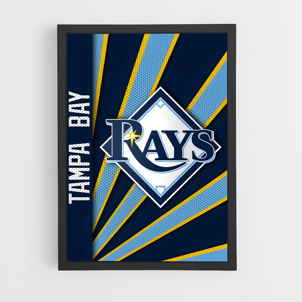 ap-tampa bay rays-7 cadre Noir