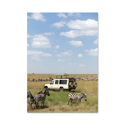Poster Zebres en Bande