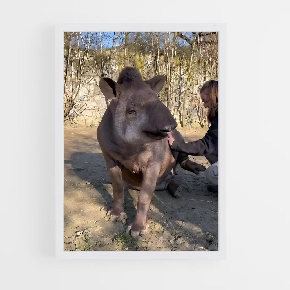 ap-tapir-2 cadre Blanc