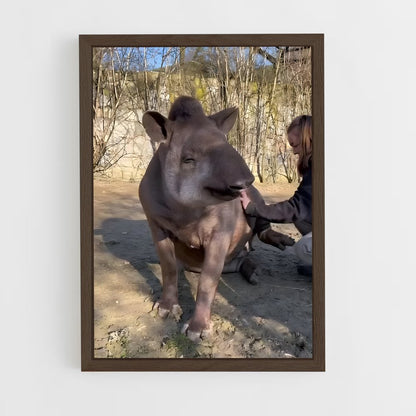 ap-tapir-2 cadre Bois foncé