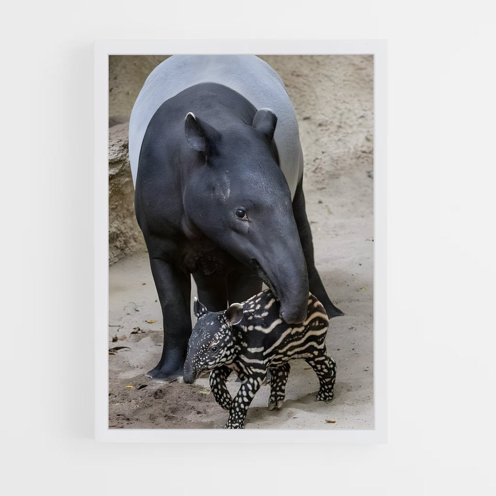 ap-tapir-3 cadre Blanc