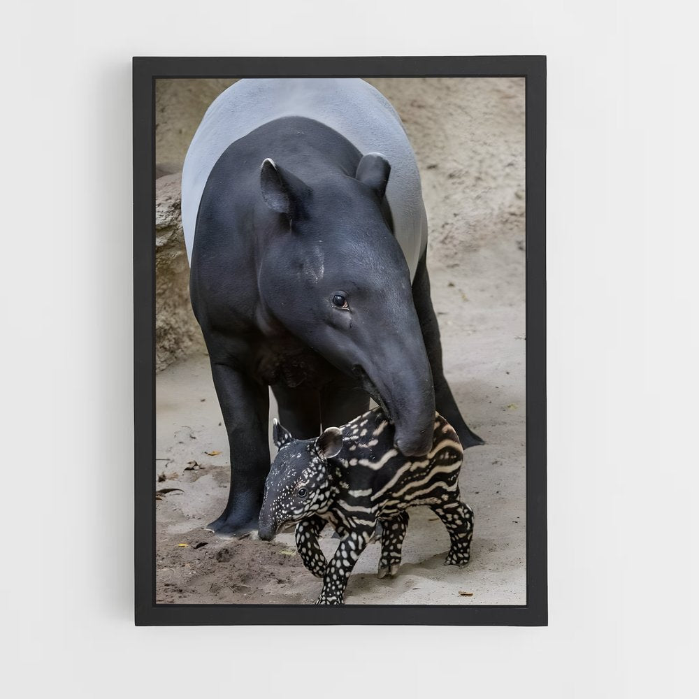 ap-tapir-3 cadre Noir