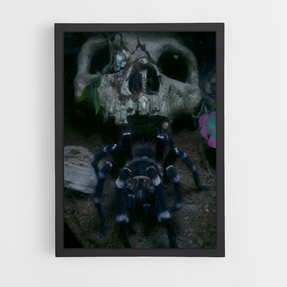 ap-tarantula-1 cadre Noir