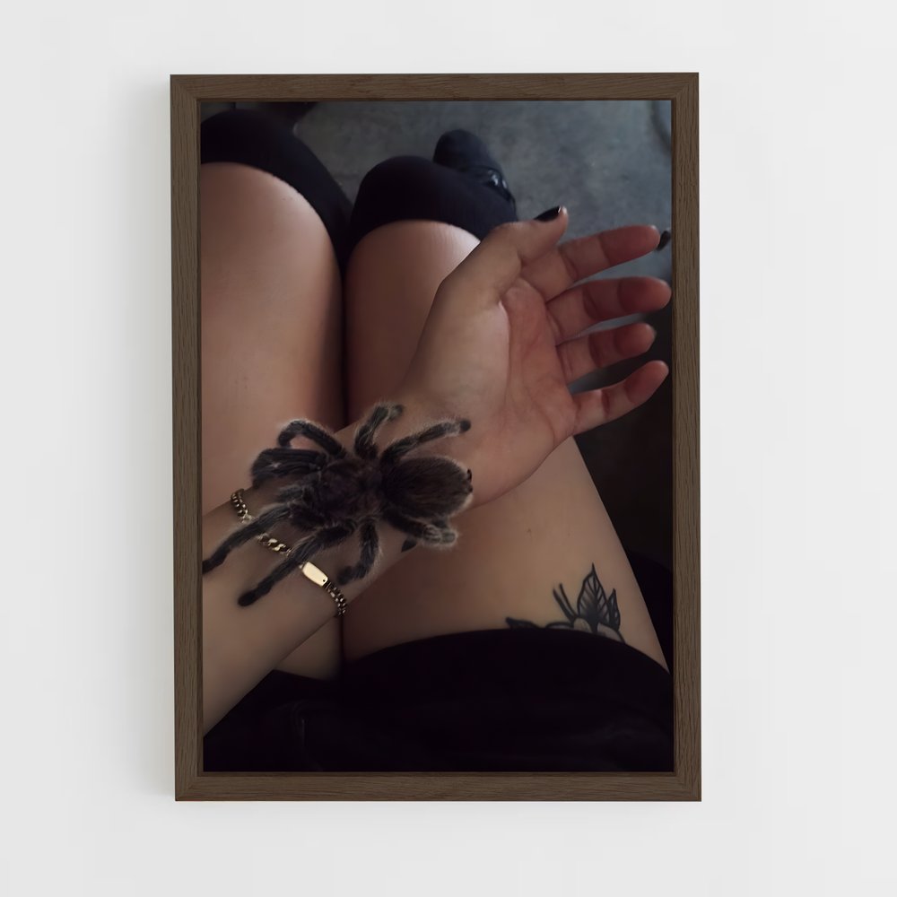 ap-tarantula-2 cadre Bois foncé