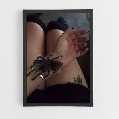 ap-tarantula-2 cadre Noir