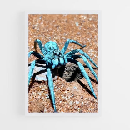 ap-tarantula-3 cadre Blanc