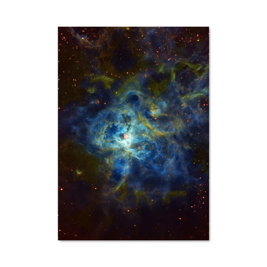 Poster L'Étoile de Tara