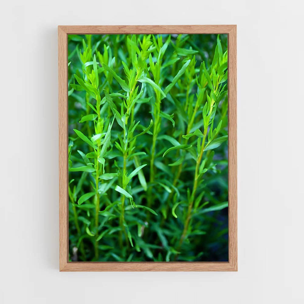 ap-tarragon-2 cadre Bois clair