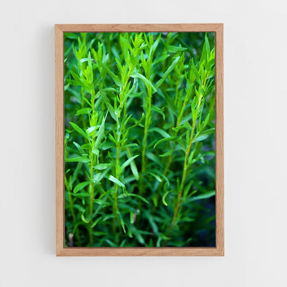 ap-tarragon-2 cadre Bois clair