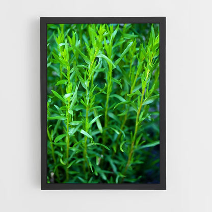 ap-tarragon-2 cadre Noir