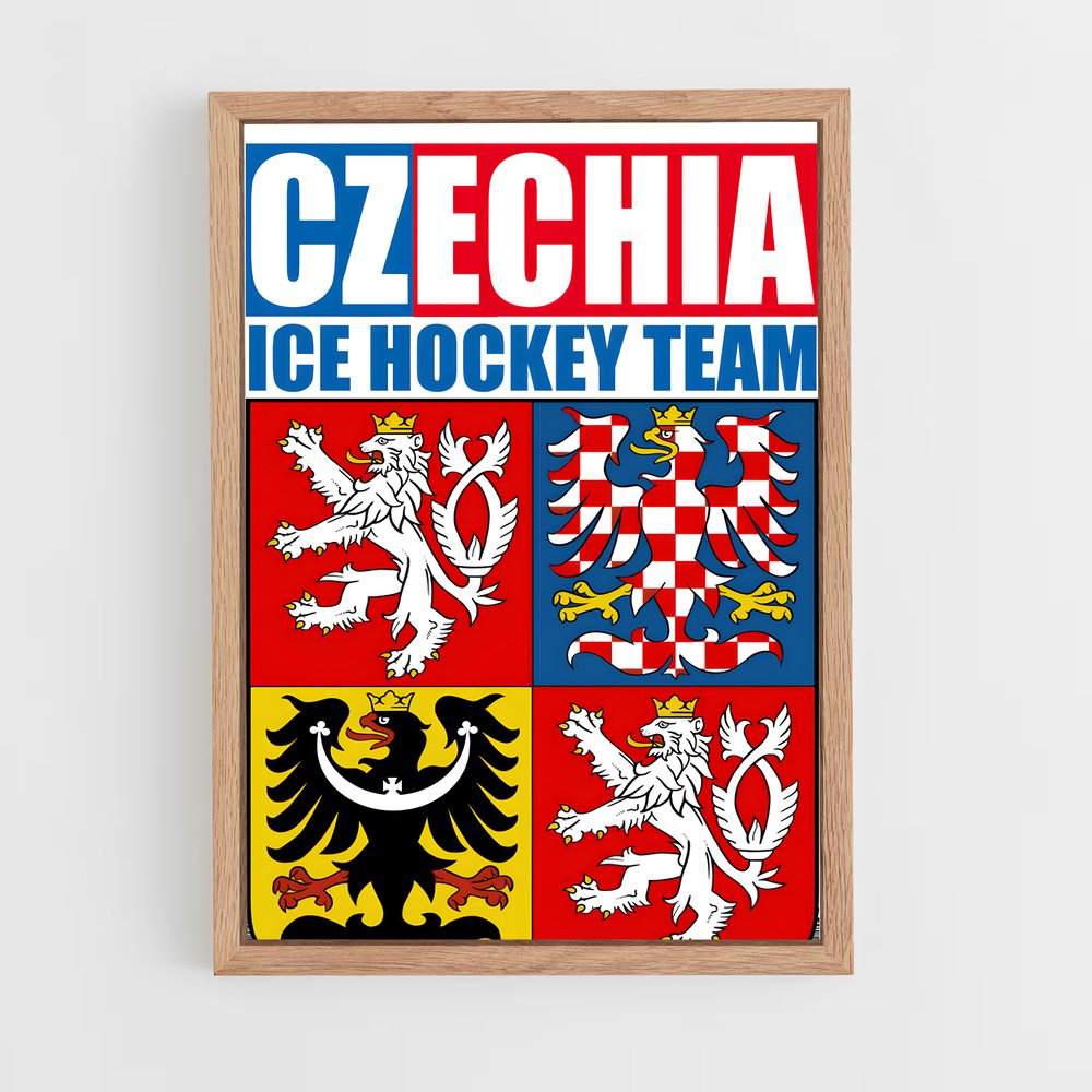ap-team czech republic hockey-1 cadre Bois clair