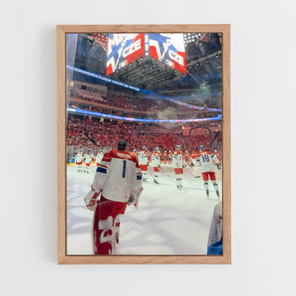 ap-team czech republic hockey-3 cadre Bois clair