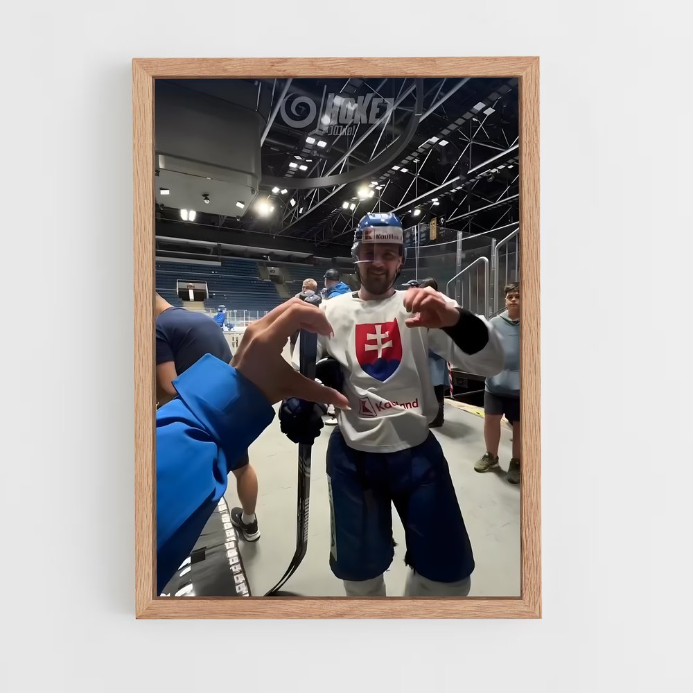 ap-team slovakia hockey-1 cadre Bois clair