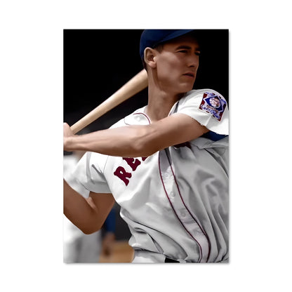 Poster Ted williams 58641