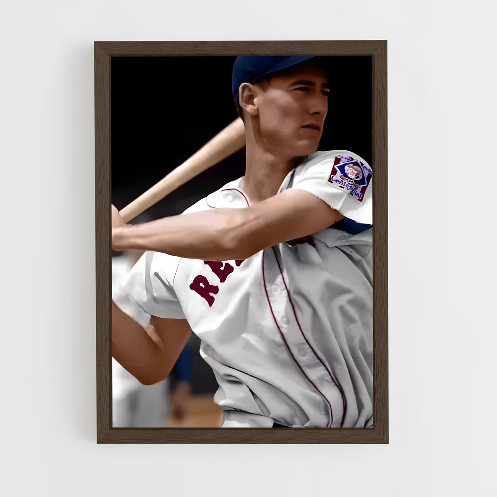 ap-ted williams-1 cadre Bois foncé